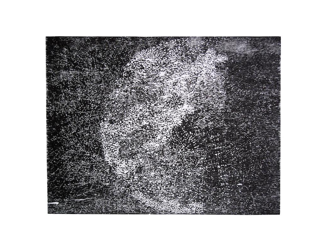 Occam, xylographie, 53x60cm, 2013
